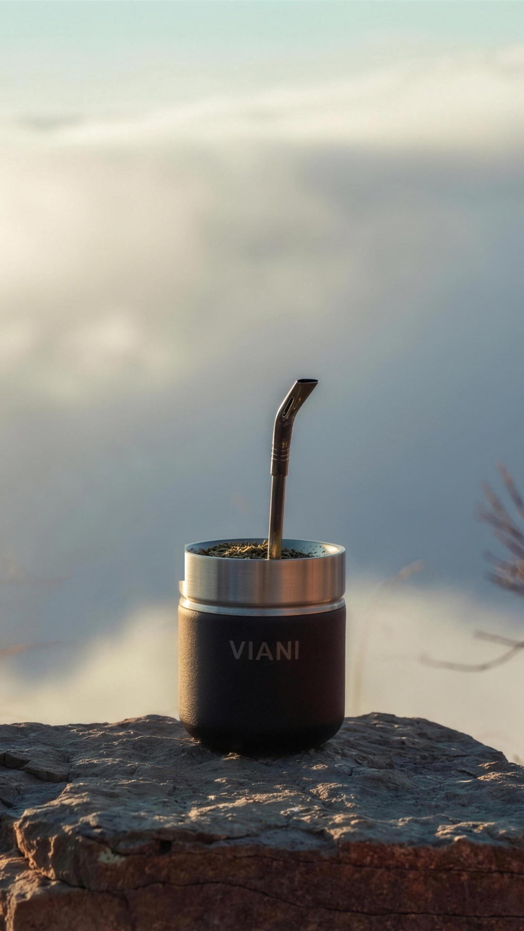 Termo VIANI Negro Classic 1LT + Mate de regalo